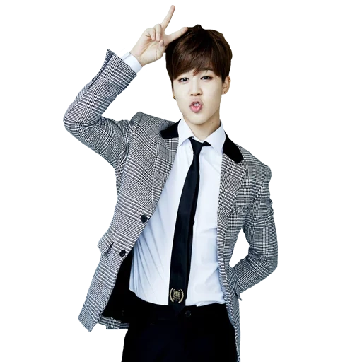 jimin, jimin bts, lequel de bts selon le signe du zodiaque, jimin bts, bangtan boys