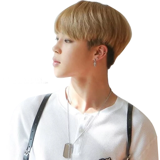 jimina, jimin pak, bts jimin, bts chimina chicas, jimin bts