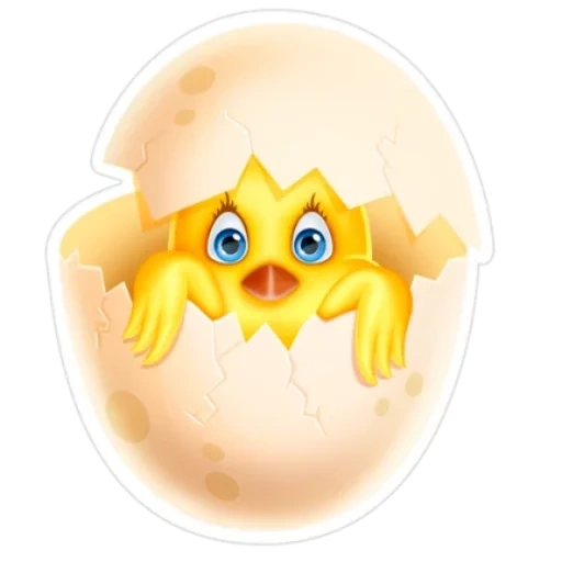 chicken egg, the chicken shell, the chicken hatched, easter chicken, the birth of a chicken egg