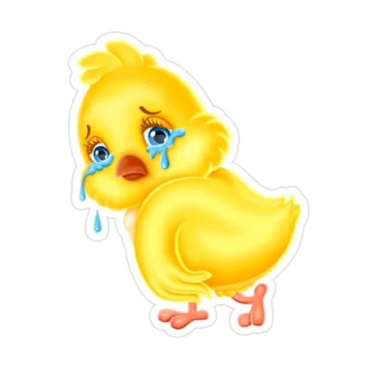chick, chick, china of children, ducklings stickers, chicken is a transparent background