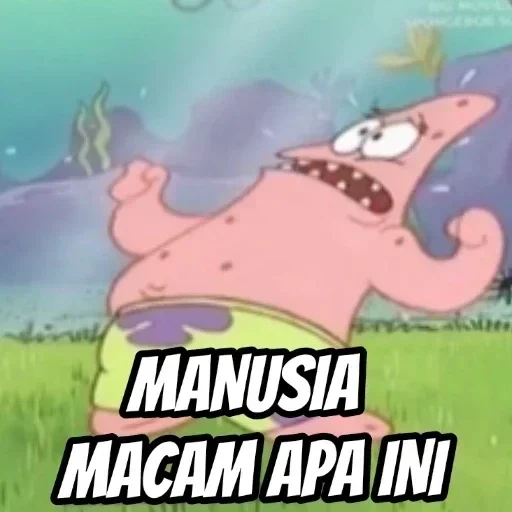 animação, patrick, humor engraçado, bob esponja meme, piada