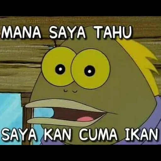 jack dog, meme spongebob, ikan kacang spons, ikan kacang spons, spongebob square pants