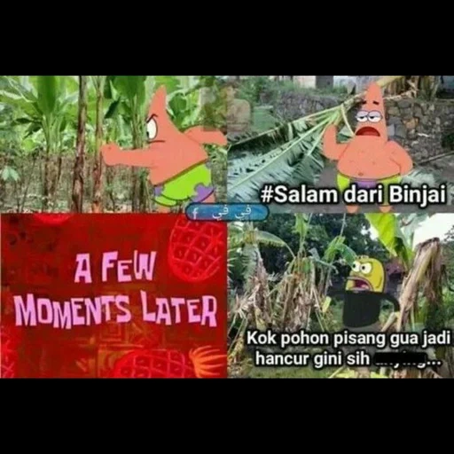 kartun, animasi, timon pomba, know your meme, keluarga cruz pindah kartun