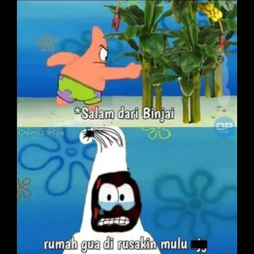 edith patrick, meme spongebob, spongebob patrick, patrick spongebob, salam dari binjai