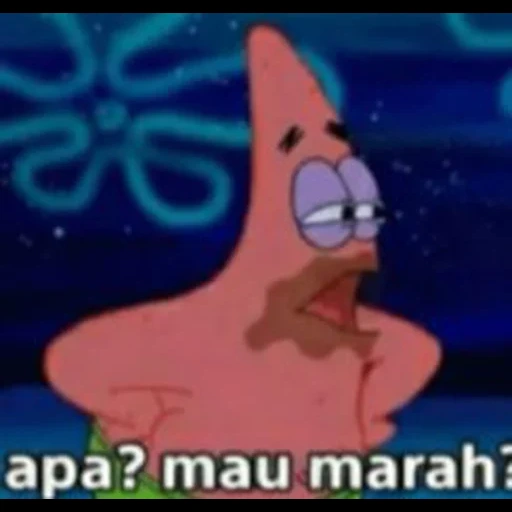 patrick, patrick star, patrick lügner, verbrannte patrick, patrick kamu permbohong