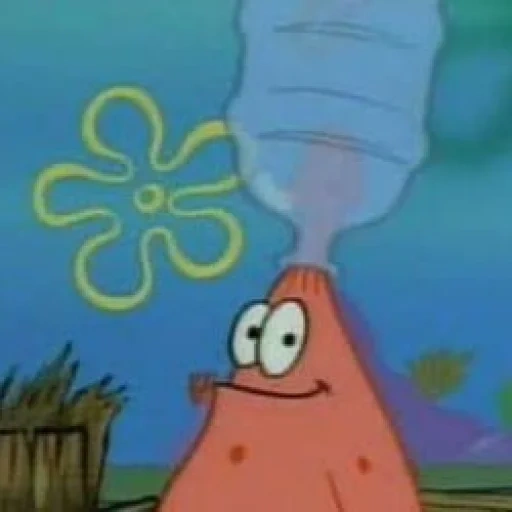 patrick starr, patrick ist verwirrt, spongebob funny, patrick spongebob, spongebob square hose