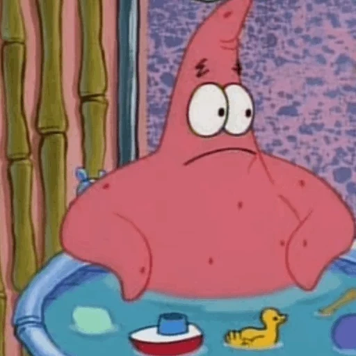 hay patrick, patrick 1999, patrick's sponge, patrick spongebob, spongebob square pants