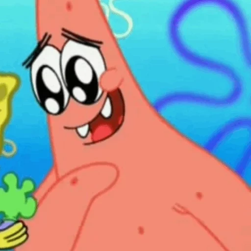 patrick starr, spongebob square, spongebob patrick liebe, spongebob square hose, spongebob quadratische hose patrick star