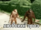 witze, ein affe, mem von affen, eine insel mit affen, orangutang mädchen