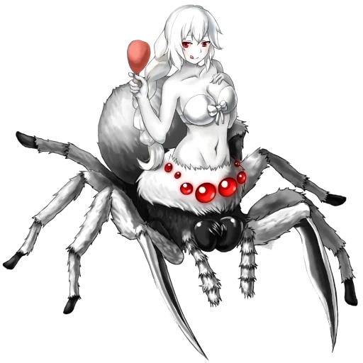 it's a spider, spider animation, white kumo, i am a spider what animation, yes spider what animation