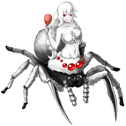 oui spider, anime d'araignée, shiraorori kumo, je suis une araignée cet anime, oui spider cet anime