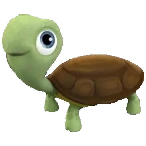turtle, tortue, tortue à fond blanc, tortue de dessin animé, fond transparent du dos de la tortue