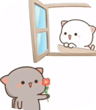 seal kawai, gatto carino girasole, carino kawai pittura, modello di gatto carino, immagini di sigilli carini