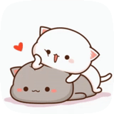 kitty chibi kawaii, kucing kawaii yang cantik, love cats kawaii, kawaii kucing pasangan, kucing kawaii suka baru