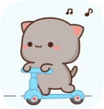 kawai seal, animals are cute, cute cat pattern, lovely seal picture, cute seal sketch trumpet