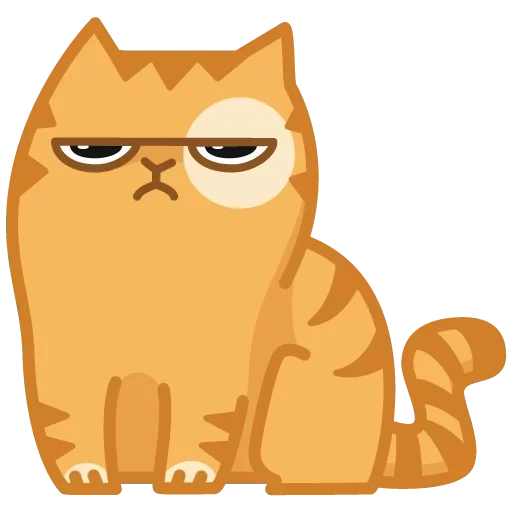 cat persik, kitty souriant, chat insatisfait, cat persik est mécontent