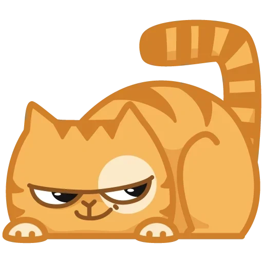 cat, cat persik, persian cat, daddy's emoticons, a serious cat