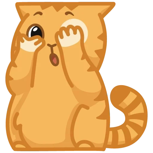 cat, ginger cat, cat persik, cat persian