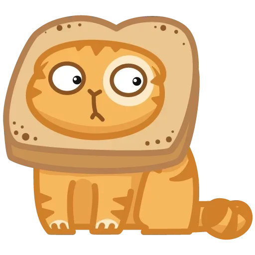 bread, persian cat, cat persik, cat of bread