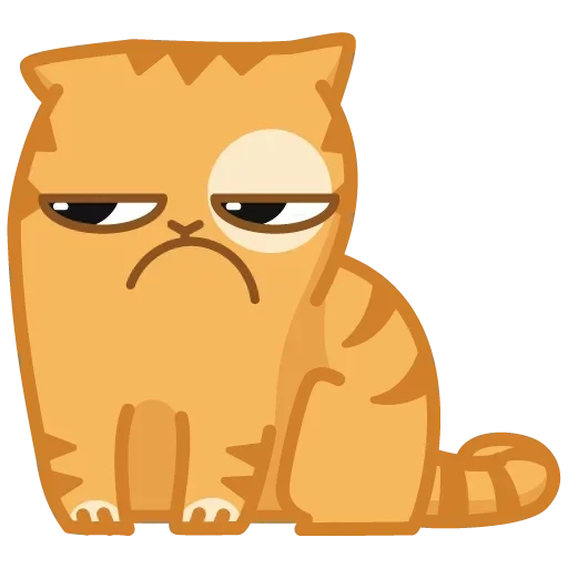 sadness, cat persik, a thoughtful cat, persian cat is angry