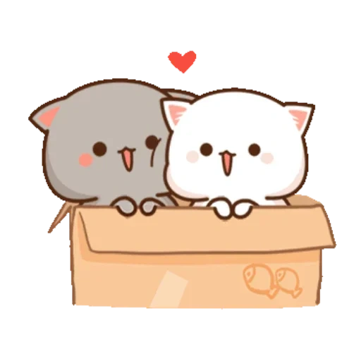 kawaii cat, mochi peach cat, adoráveis gatos kawaii, gato de pêssego mochi mochi, kawaii cats um casal