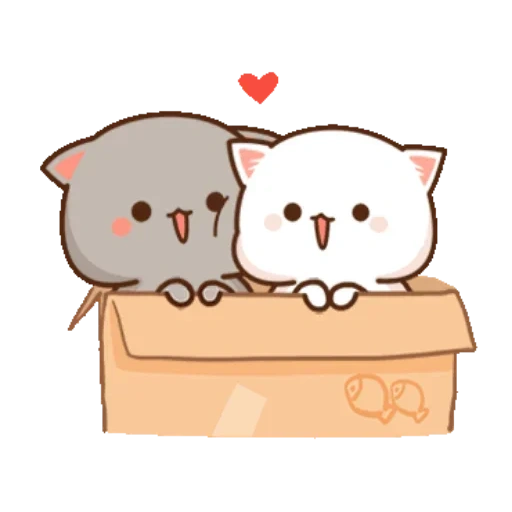 kawaii cat, mochi peach cat, bella gatti kawaii, mochi mochi peach cat, kawaii gatti un paio