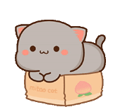 kawaii, kucing gram mochi, kucing persik mochi, gambar kawaii yang lucu, gambar kucing lucu