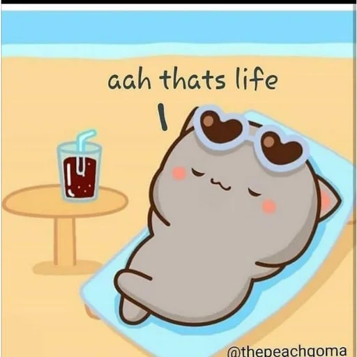 pushin, cat pushin, puxin cat, cat pushanxia, pusheen que cat