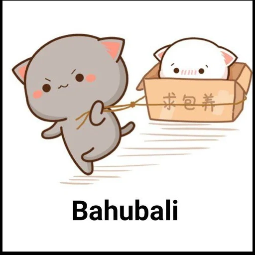 kawaii, chat, chats kawaii, animaux mignons, chat kawaii