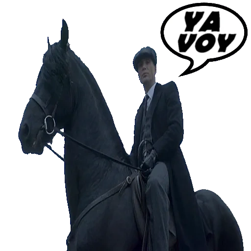 il maschio, shelby thomas, thomas shelby horses, vistose visiere di un cavallo, peaky blinders tommy shelby