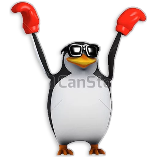 manchot, pingouin mem, pingouin drôle, bonjour est un mème avec un pingouin