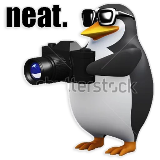 mem penguin, cámara pingüina, hola es un meme con un pingüino