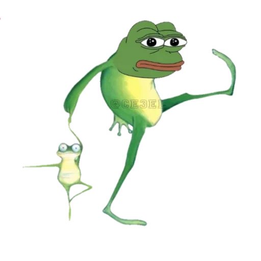 frog, frog, pepe toad, herbert's frog, green frog