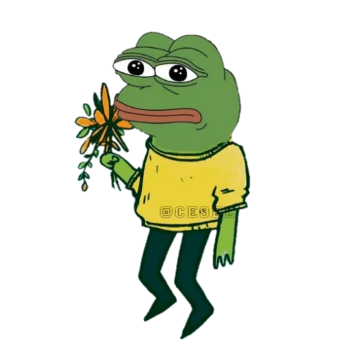 pepe frosch, pepe frosch, frosch pepa, froschpepe