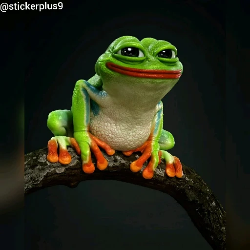 katak, katak, katak kodok, katak pepe, katak hijau