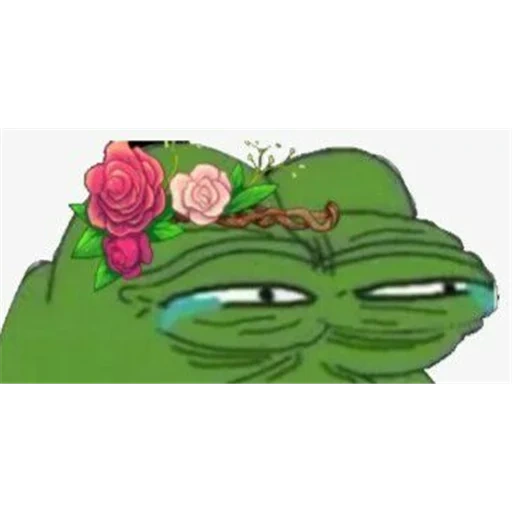 pepe, crapaud de pepe, grenouille de pepe, pepe the frog, la grenouille pepe 2020