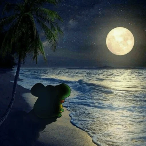 moon moon, plage la nuit, paysage nocturne, paysage night, lune la nuit