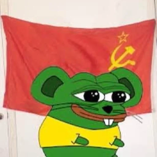 pepe rato, frog pepe, pepe, pepe irl, raiva pepe