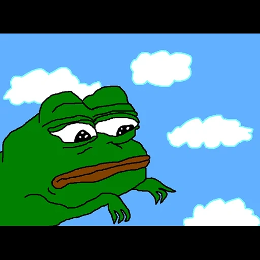 pepé, grenouille pepe, grenouille, grenouille mem, frog pepe meme desktop