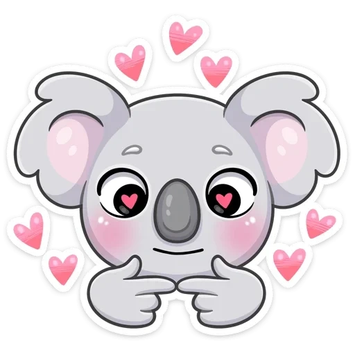 koala, kwara, koala percy