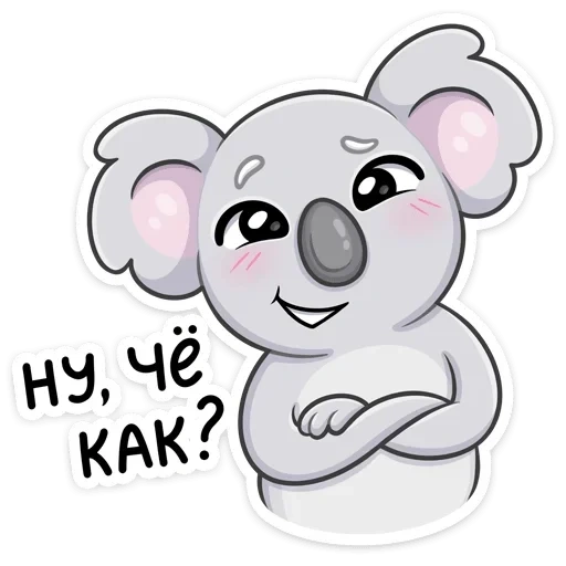 koala, kwara, kaula percy