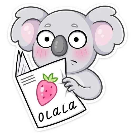 adorabile, quarra, koala percy