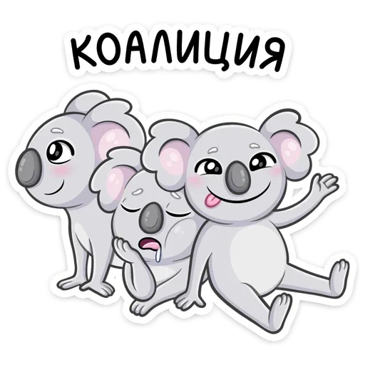 коала, коала перси