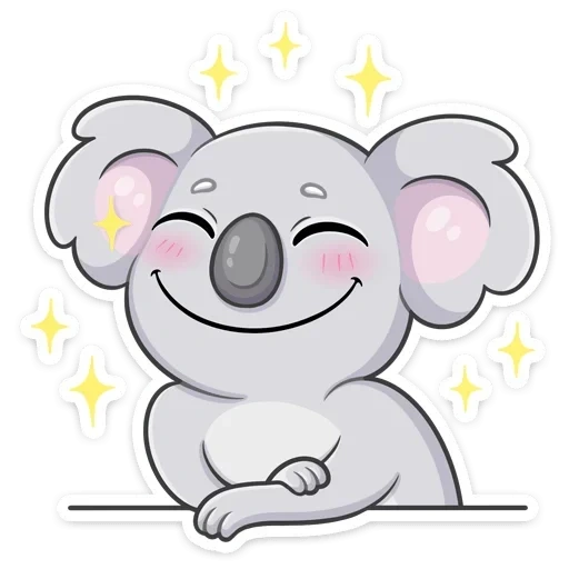 koala, lovely, kwara, koala percy