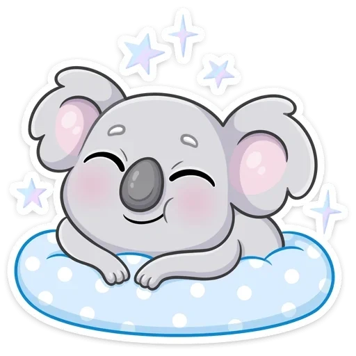 koala, mignon, kwara, kaula percy