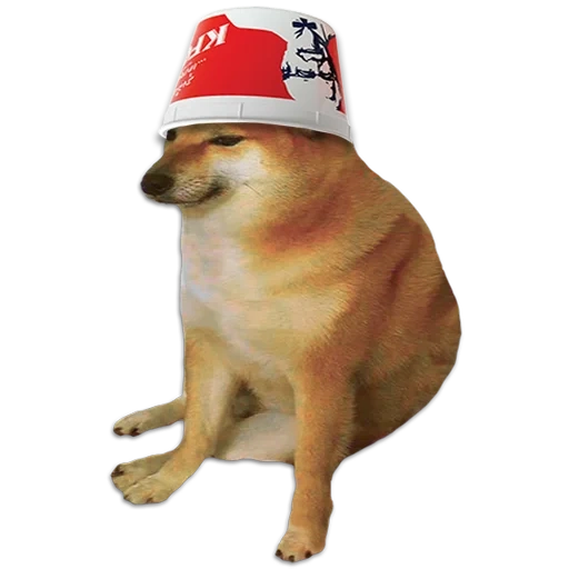 shiba iu mem, shiba inu meme, mem mit einem hund siba inu, shiba inu, hund siba inu