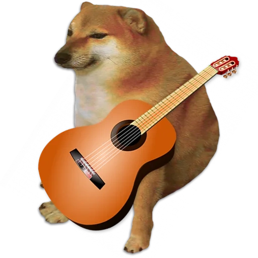 shiba inu, meme di shiba inu, siba iuu, doge mmem, doge ricardo