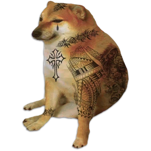 un mème avec un chien de mème siba, avec un chien de siba inu, chien siba inu, chien siba, shiba inu