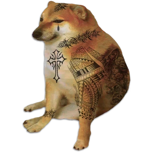 a meme with a dog of siba, meme with a dog of siba inu, dog siba inu, dog siba, shiba inu