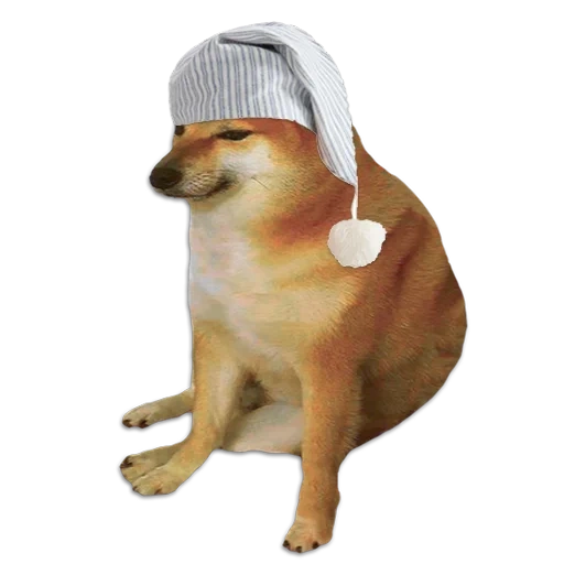 shiba inu, shiba inu, meme con un cane di siba inu, shiba iu iu mem, dog di siba